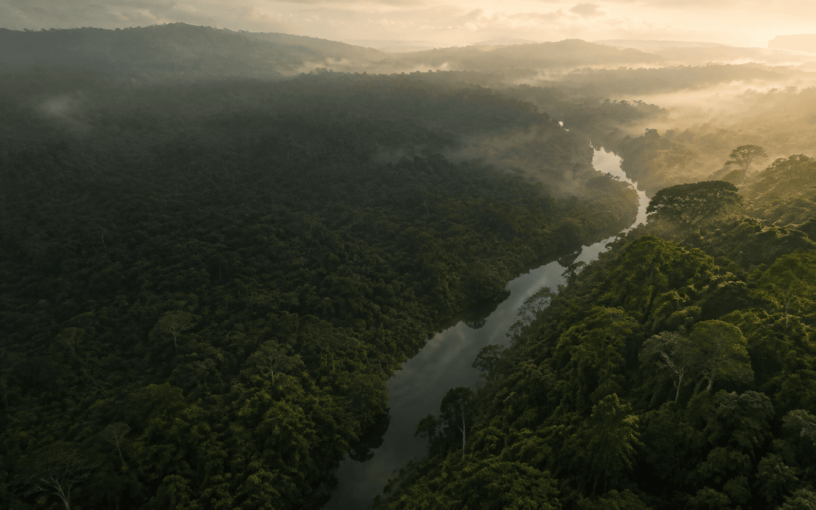 Aerial view of the Amazon rainforest and winding river at sunrise